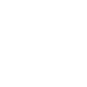19 – Primary Symbol – isolate white
